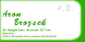 aron brozsek business card